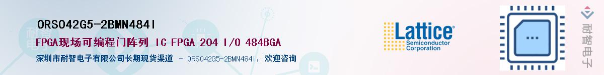 ORSO42G5-2BMN484IӦ-ǵ