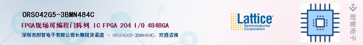 ORSO42G5-3BMN484C��Ӧ��-���ǵ���