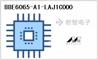 88E6065-A1-LAJ1C000