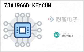 73M1966B-KEYCHN