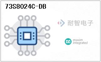 73S8024C-DB