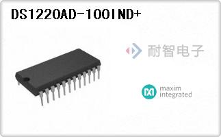 DS1220AD-100IND+