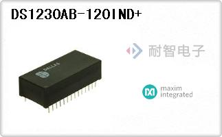 DS1230AB-120IND+