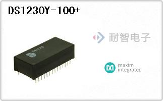 DS1230Y-100+