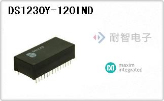 DS1230Y-120IND