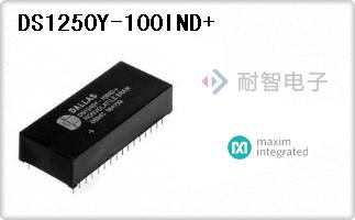 DS1250Y-100IND+