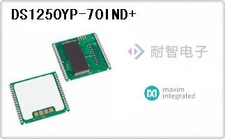 DS1250YP-70IND+