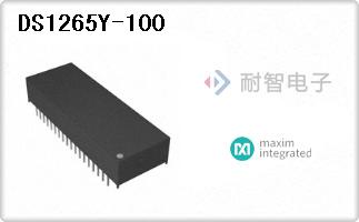 DS1265Y-100