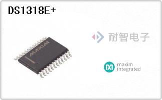 DS1318E+