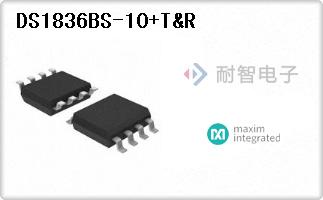 DS1836BS-10+T&R