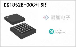 DS1852B-00C+T&R