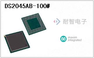 DS2045AB-100#