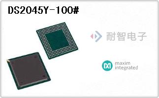 DS2045Y-100#