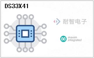 DS33X41