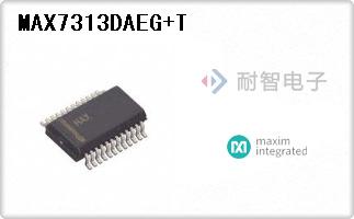 MAX7313DAEG+T