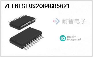 ZLFBLST0S2064GR5621