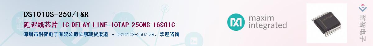 DS1010S-250/T&R��Ӧ��-���ǵ���