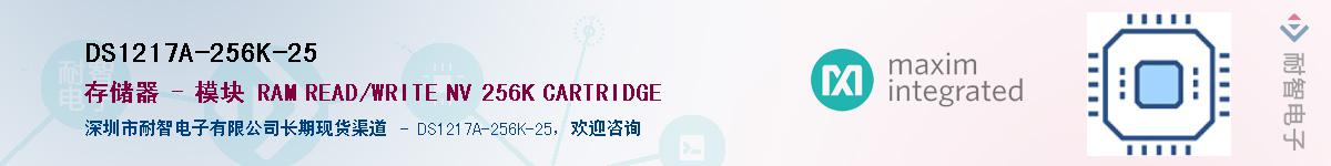DS1217A-256K-25��Ӧ��-���ǵ���
