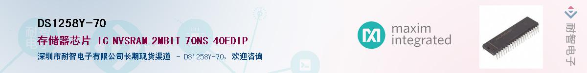 DS1258Y-70��Ӧ��-���ǵ���