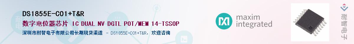 DS1855E-C01+T&R��Ӧ��-���ǵ���