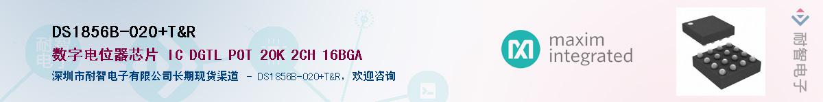 DS1856B-020+T&R��Ӧ��-���ǵ���