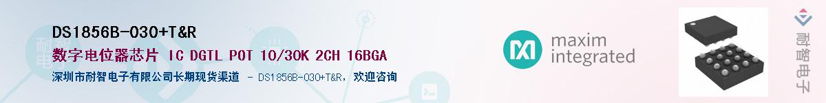DS1856B-030+T&R��Ӧ��-���ǵ���