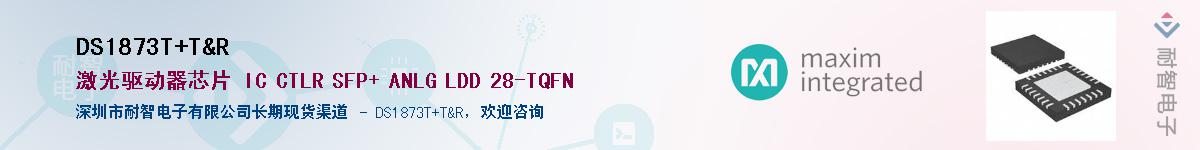 DS1873T+T&RӦ-ǵ