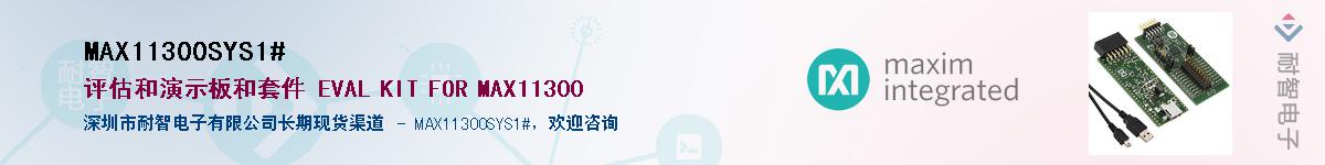 MAX11300SYS1#��Ӧ��-���ǵ���