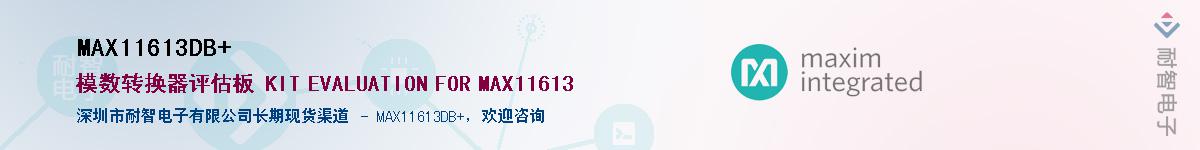 MAX11613DB+��Ӧ��-���ǵ���