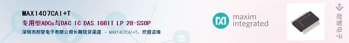 MAX1407CAI+T��Ӧ��-���ǵ���