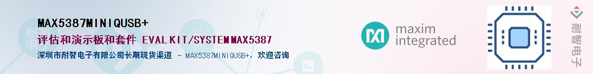 MAX5387MINIQUSB+��Ӧ��-���ǵ���