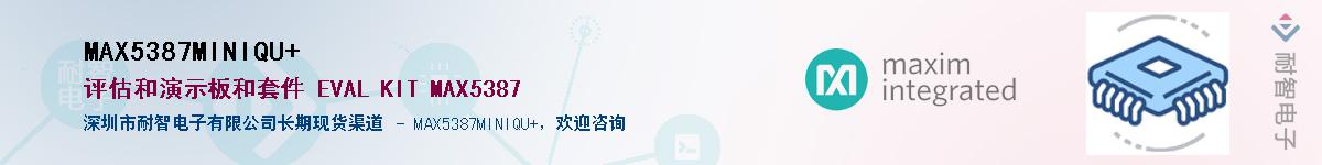 MAX5387MINIQU+��Ӧ��-���ǵ���