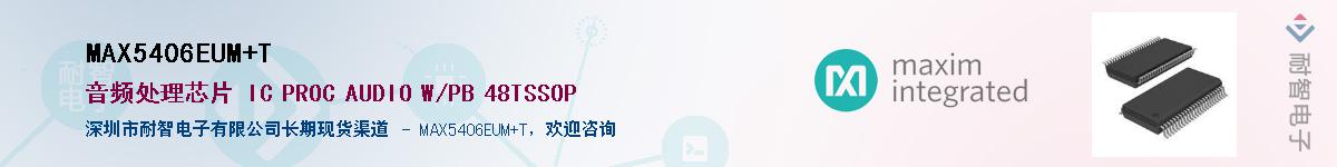 MAX5406EUM+T��Ӧ��-���ǵ���