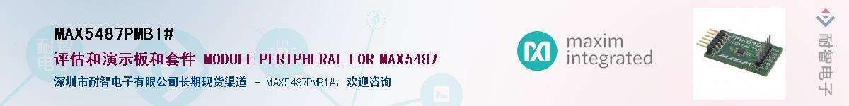 MAX5487PMB1#��Ӧ��-���ǵ���