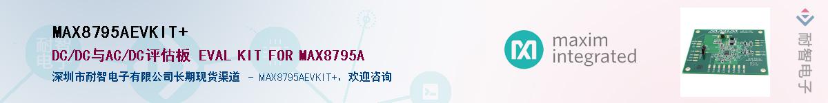 MAX8795AEVKIT+��Ӧ��-���ǵ���