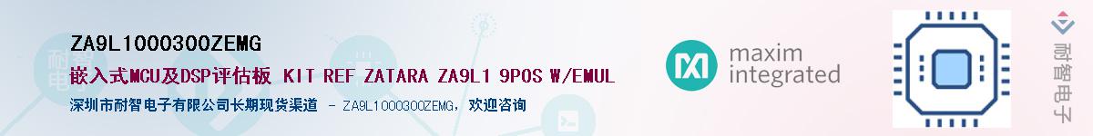 ZA9L1000300ZEMGӦ-ǵ