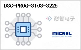 DSC-PROG-8103-3225
