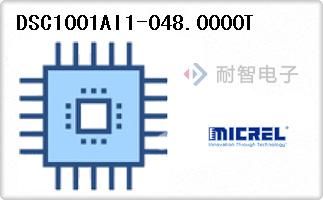 DSC1001AI1-048.0000T