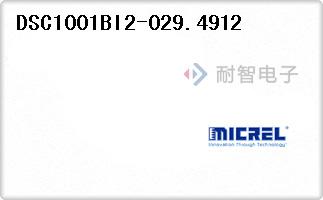 DSC1001BI2-029.4912