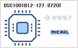 DSC1001BI2-127.8720T