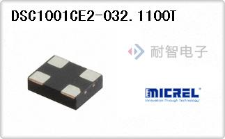 DSC1001CE2-032.1100T