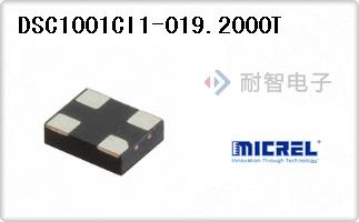 DSC1001CI1-019.2000T