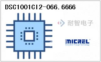 DSC1001CI2-066.6666