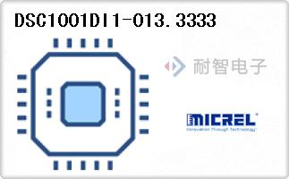 DSC1001DI1-013.3333