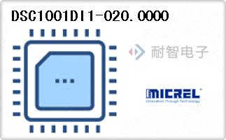 DSC1001DI1-020.0000