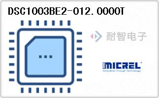 DSC1003BE2-012.0000T
