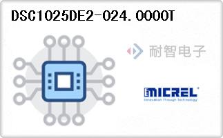 DSC1025DE2-024.0000T