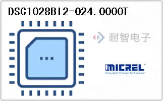 DSC1028BI2-024.0000T