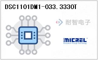 DSC1101DM1-033.3330T