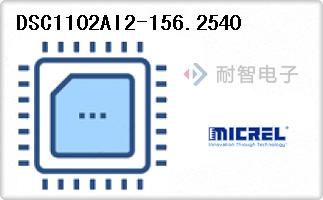 DSC1102AI2-156.2540